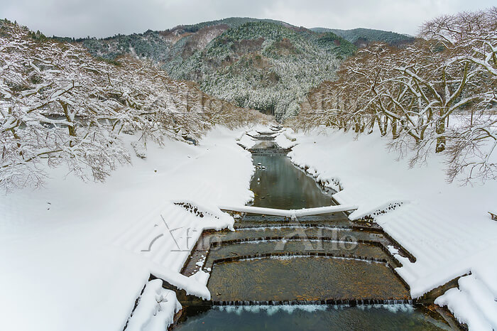 甲賀市商工会観光部会 特産品アイディアコンテスト