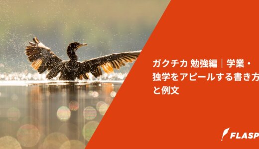 ガクチカ 勉強編｜学業・独学をアピールする書き方と例文