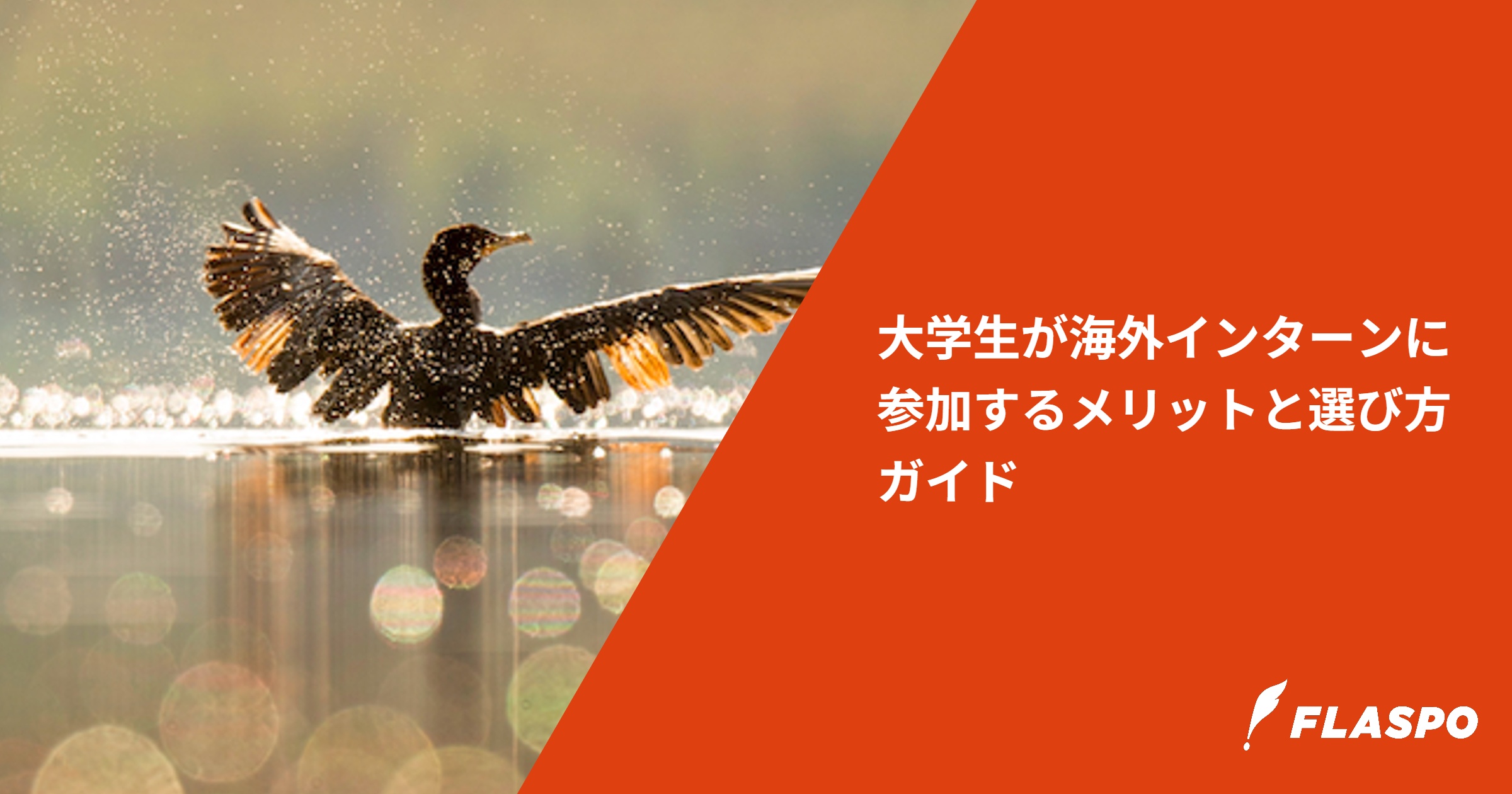 大学生が海外インターンに参加するメリットと選び方ガイド