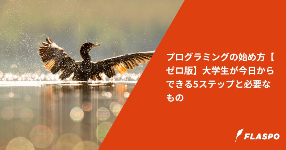 プログラミングの始め方【ゼロ版】大学生が今日からできる5ステップと必要なもの