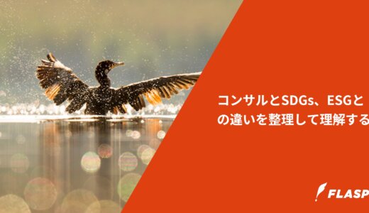 コンサルとSDGs、ESGとの違いを整理して理解する