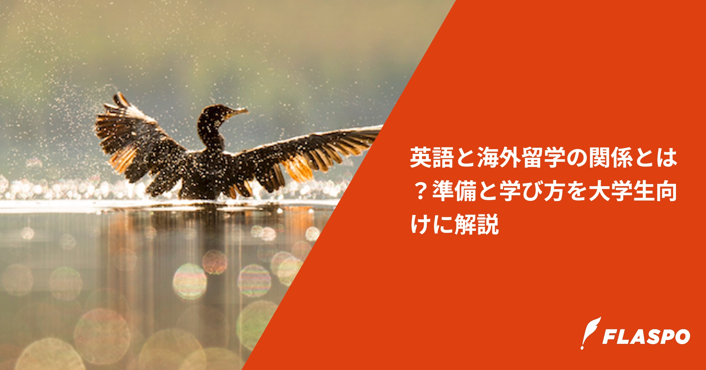 英語と海外留学の関係とは？準備と学び方を大学生向けに解説