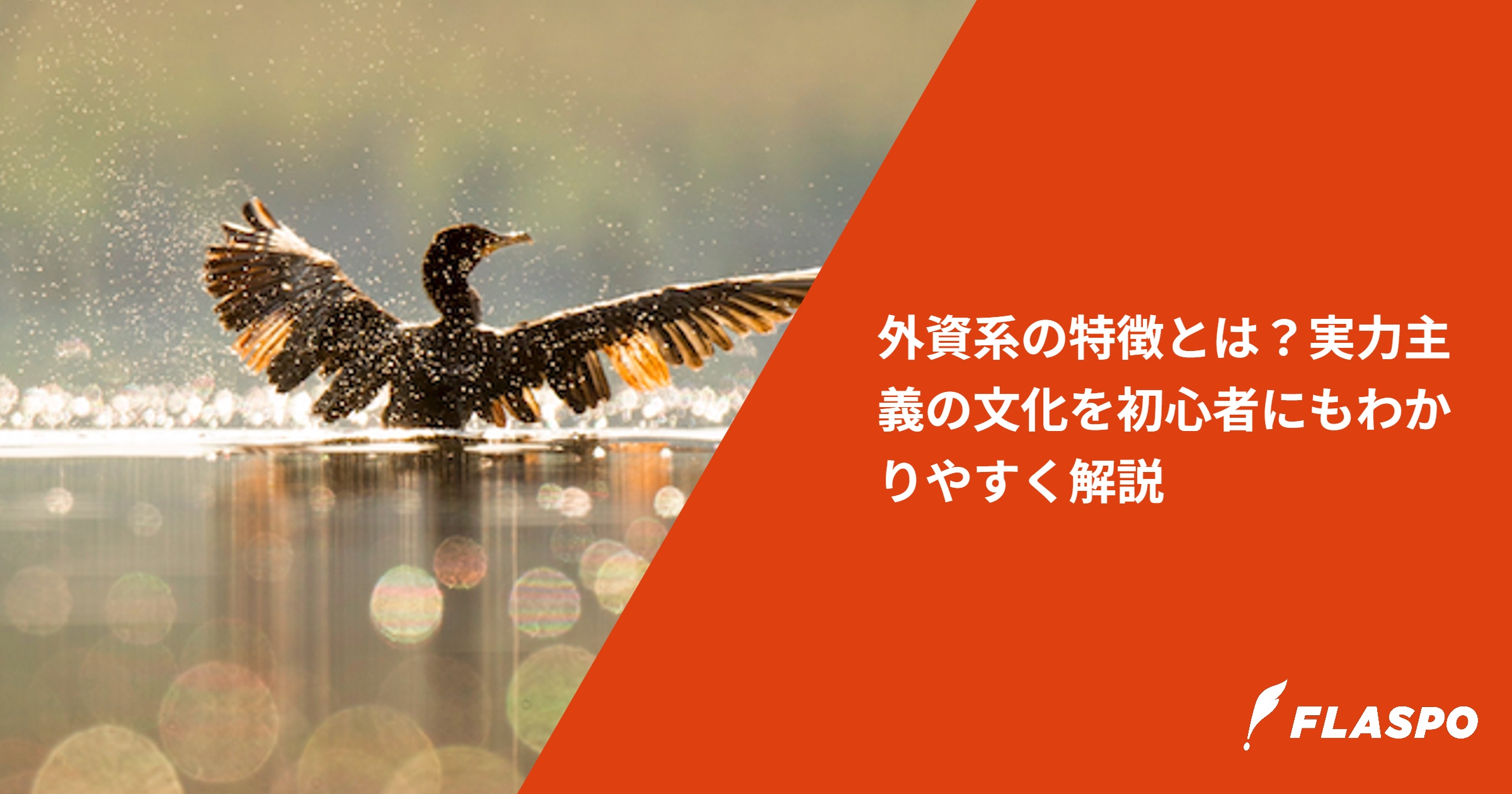 外資系の特徴とは？実力主義の文化を初心者にもわかりやすく解説