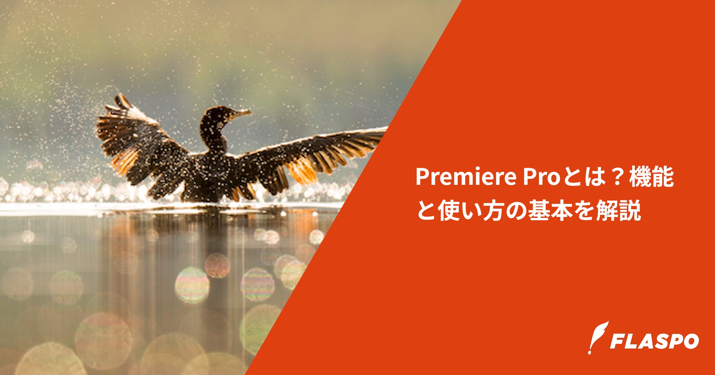 Premiere Proとは？機能と使い方の基本を解説