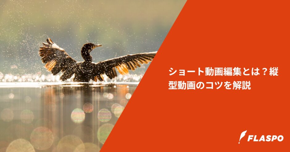 ショート動画編集とは？縦型動画のコツを解説