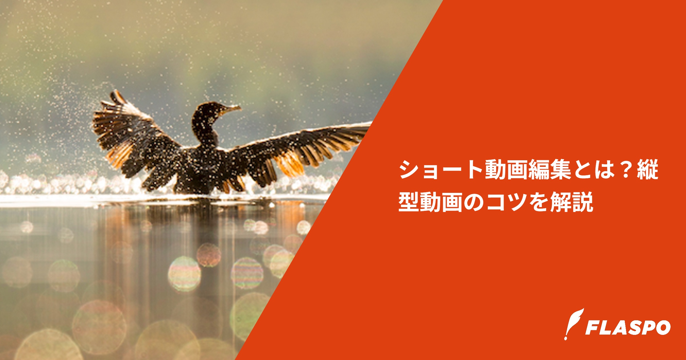 ショート動画編集とは？縦型動画のコツを解説