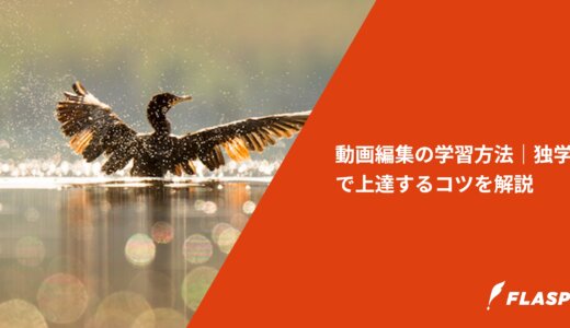 動画編集の学習方法｜独学で上達するコツを解説