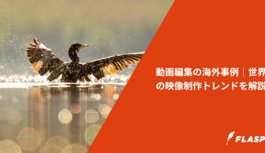 動画編集の海外事例｜世界の映像制作トレンドを解説