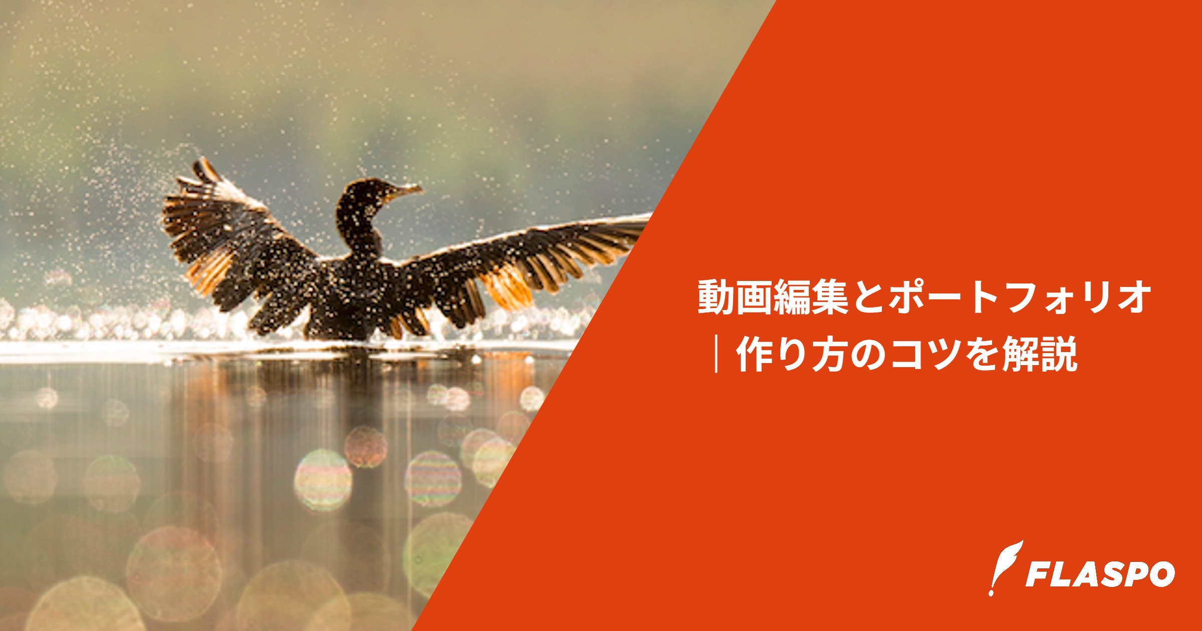 動画編集とポートフォリオ｜作り方のコツを解説