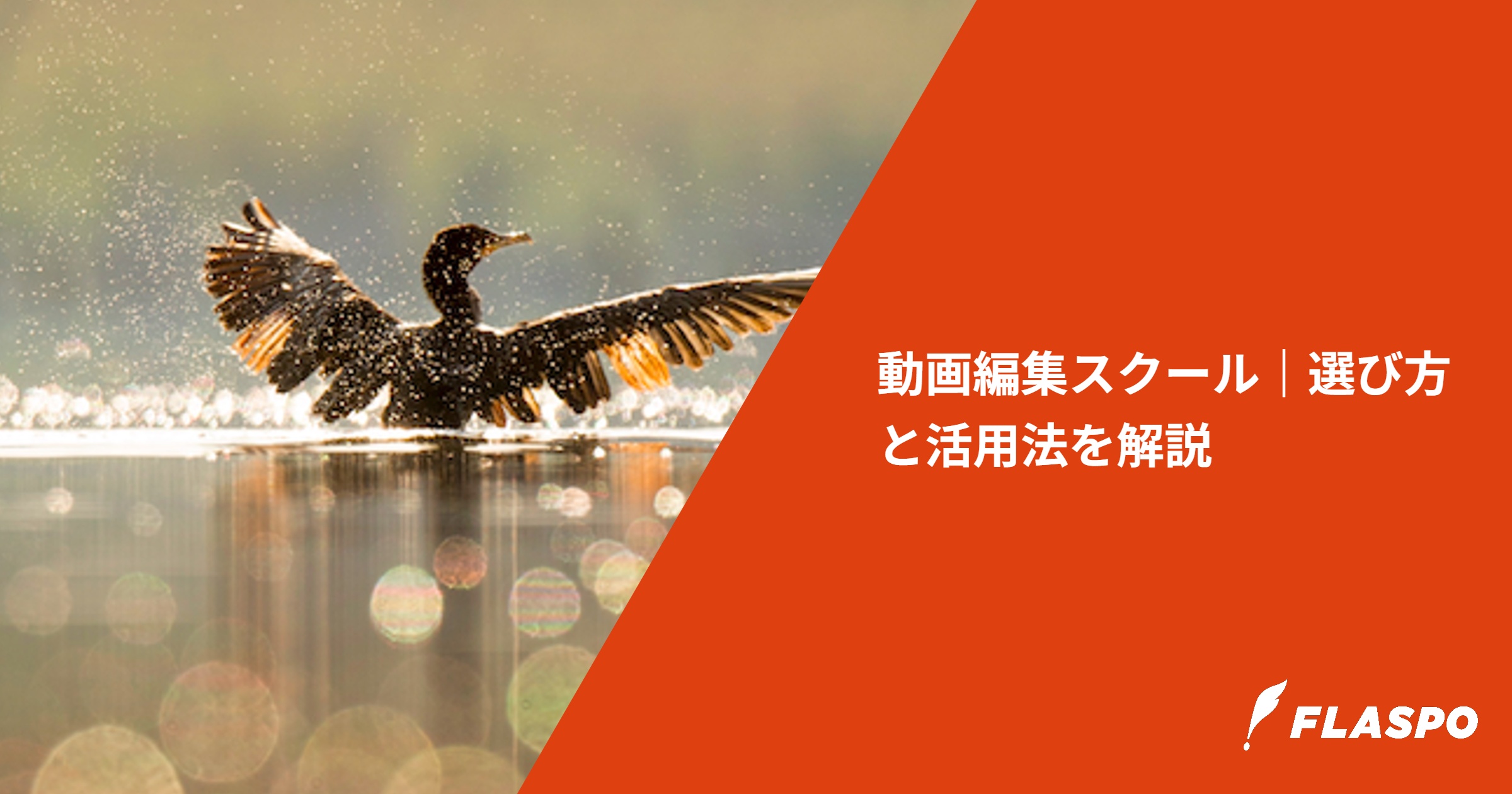 動画編集スクール｜選び方と活用法を解説