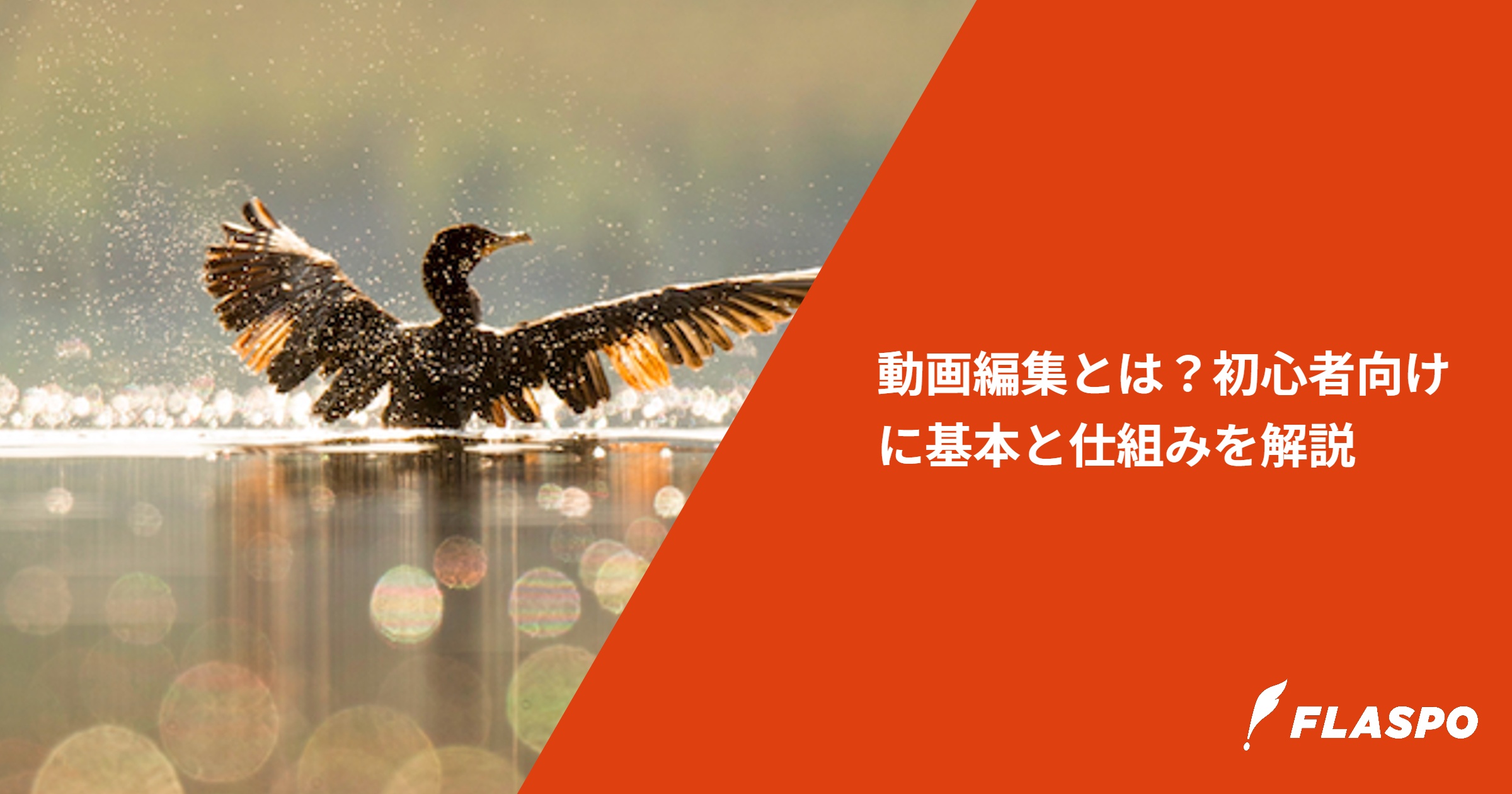 動画編集とは？初心者向けに基本と仕組みを解説