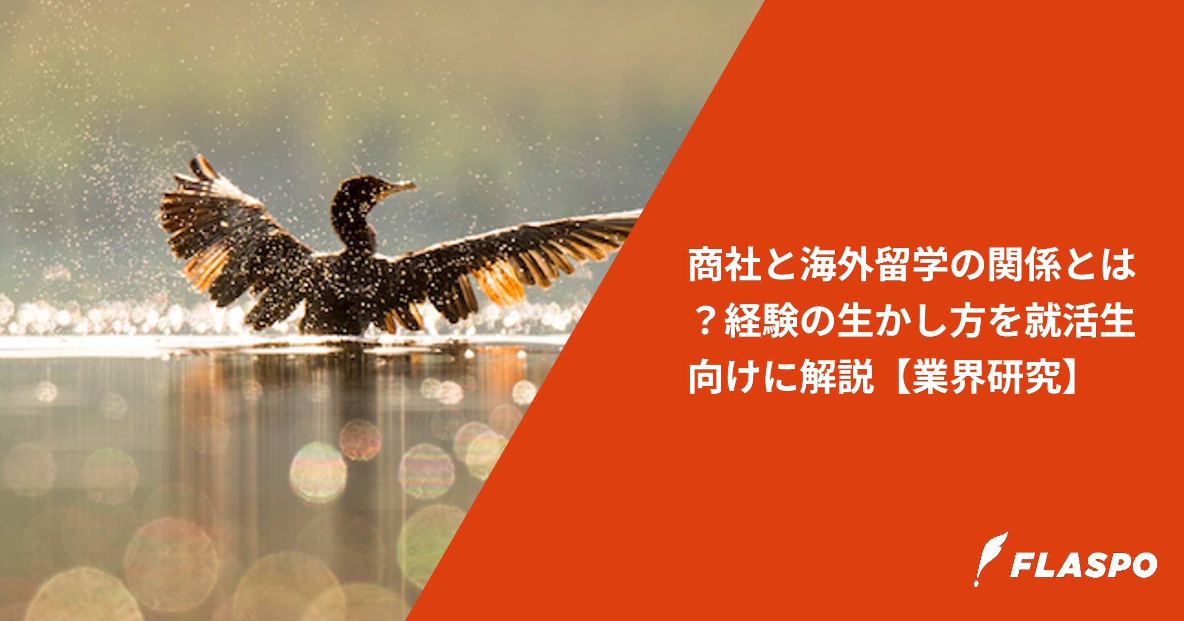 商社と海外留学の関係とは？経験の生かし方を就活生向けに解説【業界研究】