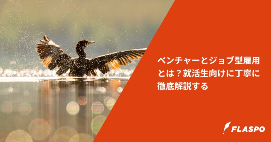 ベンチャーとジョブ型雇用とは？就活生向けに丁寧に徹底解説する